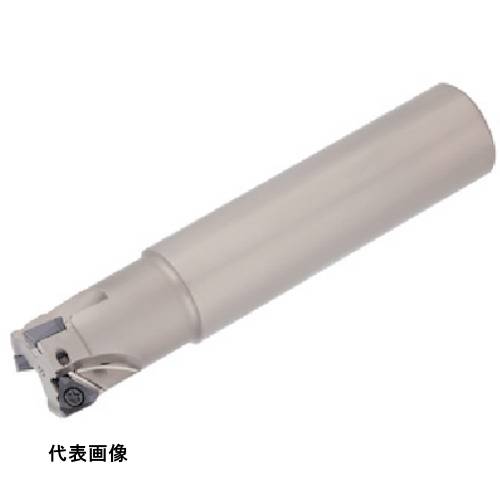 ミーリングエンドミル タンガロイ タング・トライ 柄付きカッタ EPA06 [EPA06R028M25.0-04N] 販売単位：1 送料無料｜ルーペスタジオ