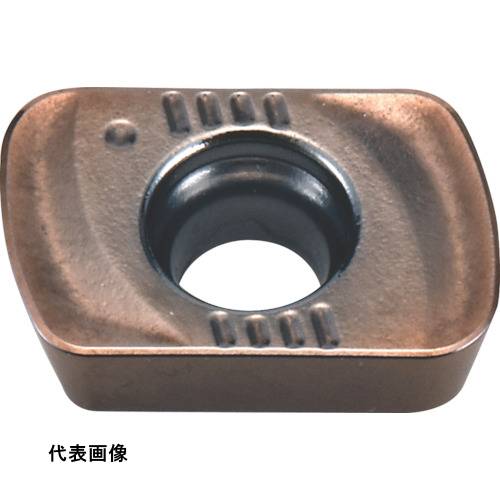 皆既月食を見よう