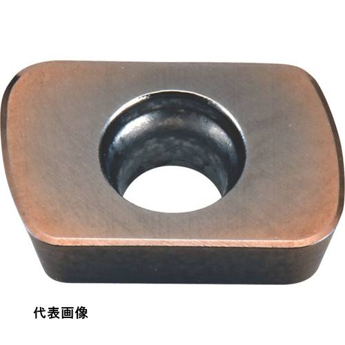 皆既月食を見よう