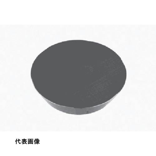 皆既月食を見よう