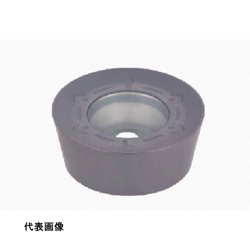 皆既月食を見よう