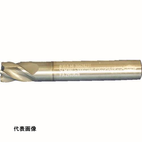 皆既月食を見よう