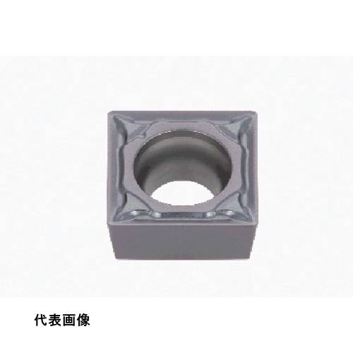 皆既月食を見よう