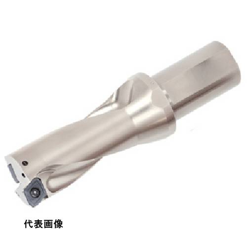 皆既月食を見よう