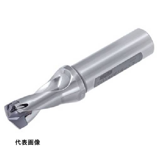 皆既月食を見よう