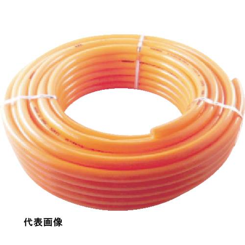 皆既月食を見よう