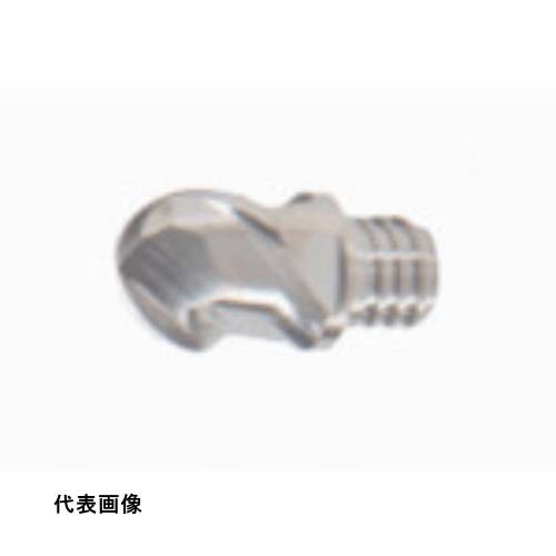 皆既月食を見よう