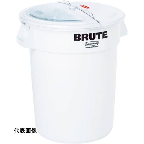 皆既月食を見よう