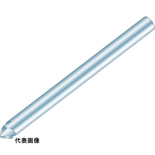 皆既月食を見よう