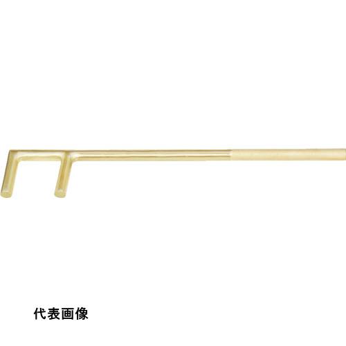 皆既月食を見よう
