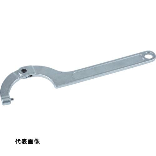 皆既月食を見よう
