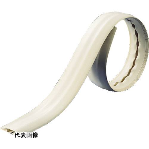 皆既月食を見よう