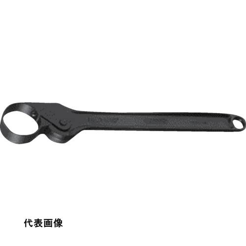 皆既月食を見よう