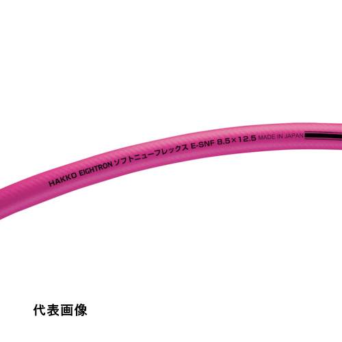 皆既月食を見よう