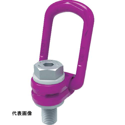 工具 ボルト ネジ 吊り下げ 吊るす ねじ 荷役 RUD ロードリングプラス VLBG-PLUS-M16 [VLBG-PLUS-M16] 販売単位：1 送料無料｜ルーペスタジオ