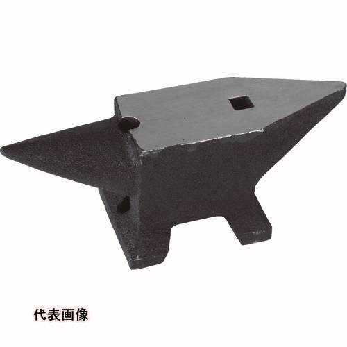 皆既月食を見よう