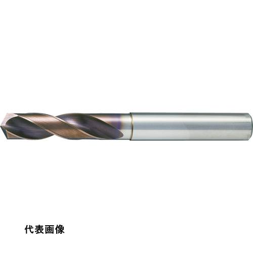 皆既月食を見よう