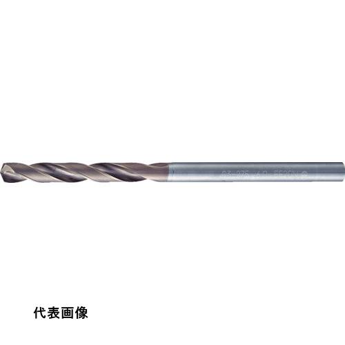 皆既月食を見よう