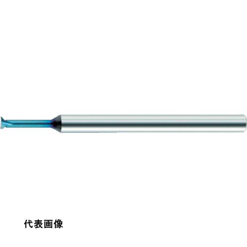 皆既月食を見よう