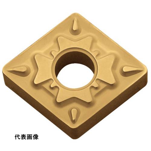 皆既月食を見よう 花・ガーデン・DIY-切削工具