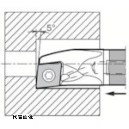 皆既月食を見よう