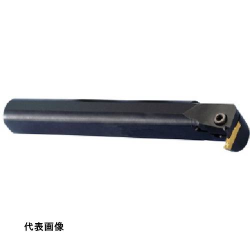 皆既月食を見よう 電動・エア工具用アクセサリー-花・ガーデン・DIY