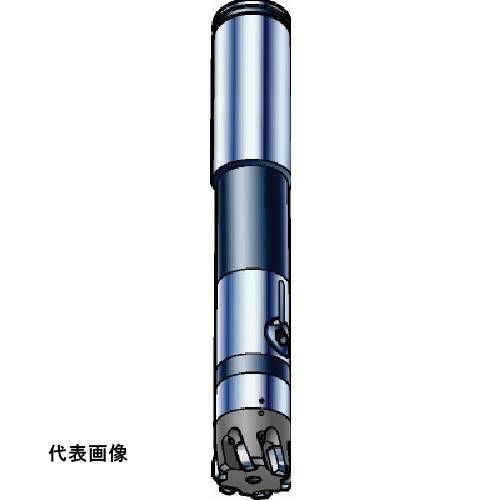 皆既月食を見よう