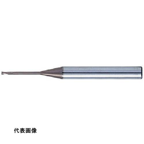 皆既月食を見よう