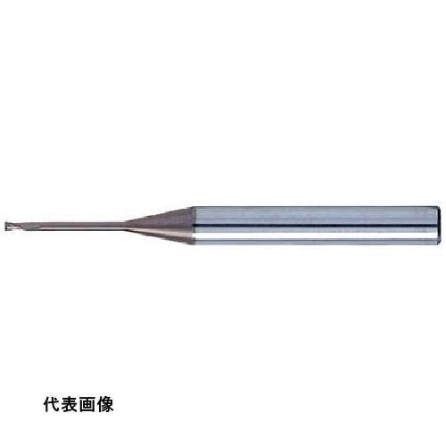 皆既月食を見よう