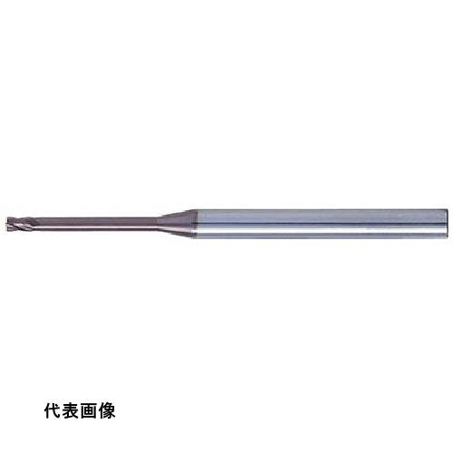皆既月食を見よう