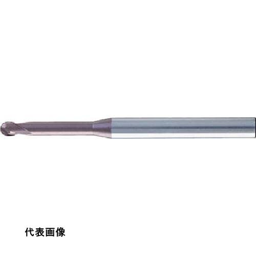 皆既月食を見よう