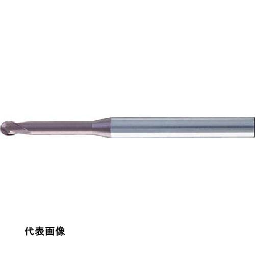 皆既月食を見よう DIY・工具-花・ガーデン・DIY
