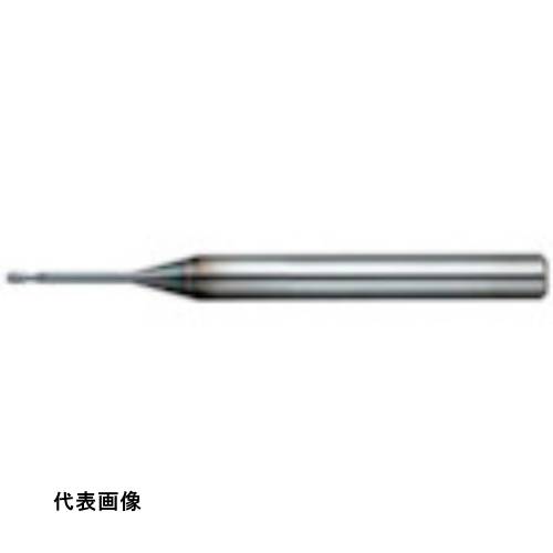 皆既月食を見よう