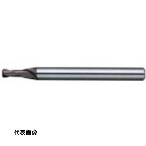 皆既月食を見よう