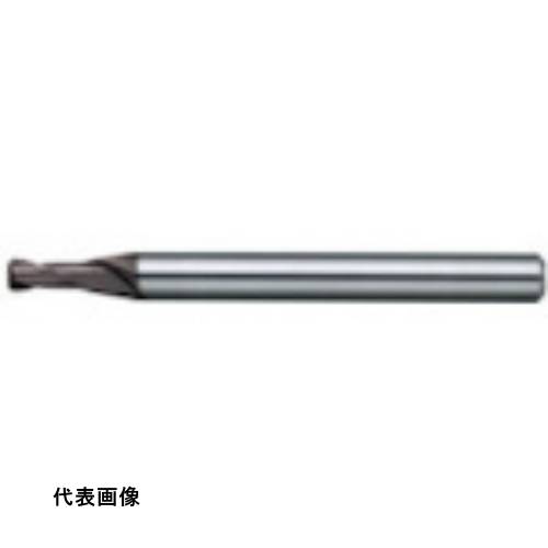 皆既月食を見よう