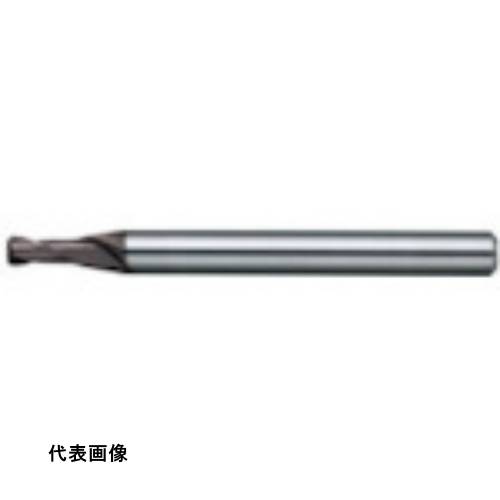 皆既月食を見よう