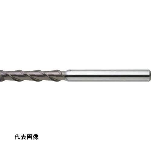 皆既月食を見よう 花・ガーデン・DIY-その他