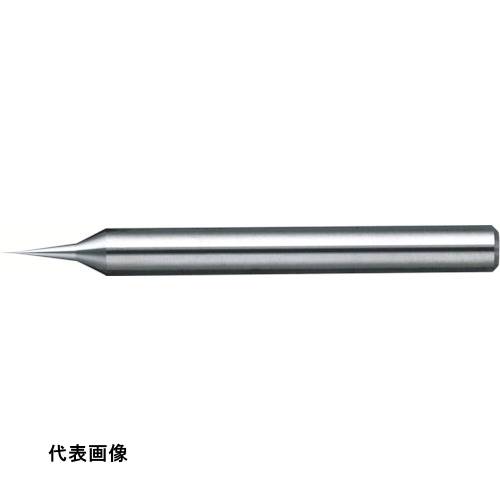 皆既月食を見よう