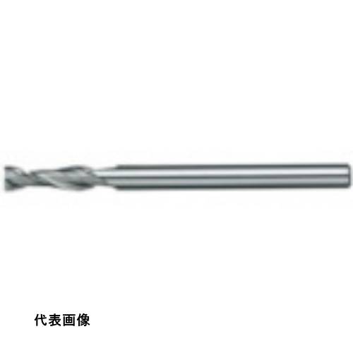 皆既月食を見よう