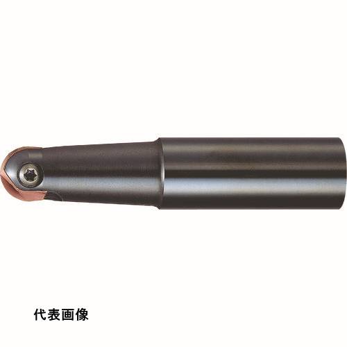 皆既月食を見よう