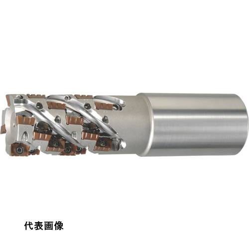 皆既月食を見よう