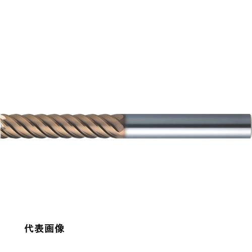 皆既月食を見よう