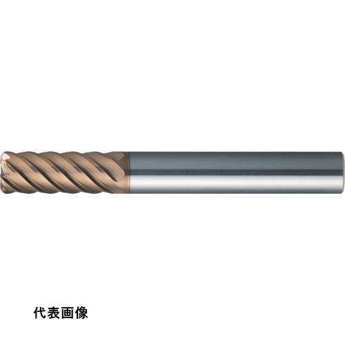 MOLDINO エポックTHハード コーナRツキ CEPR6060-10-TH [CEPR6060-10-TH] 販売単位：1 送料無料｜ルーペスタジオ