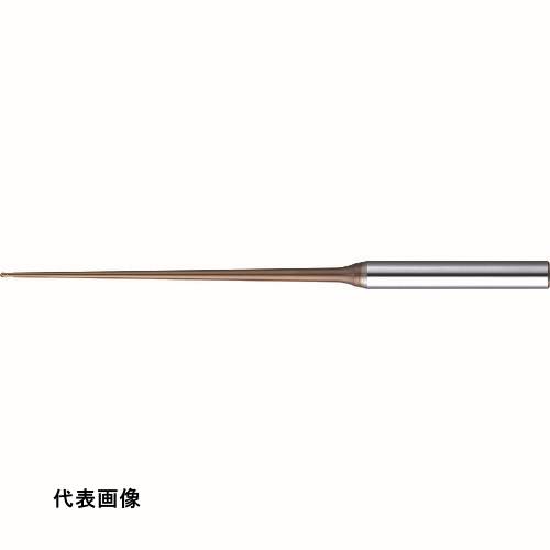 皆既月食を見よう