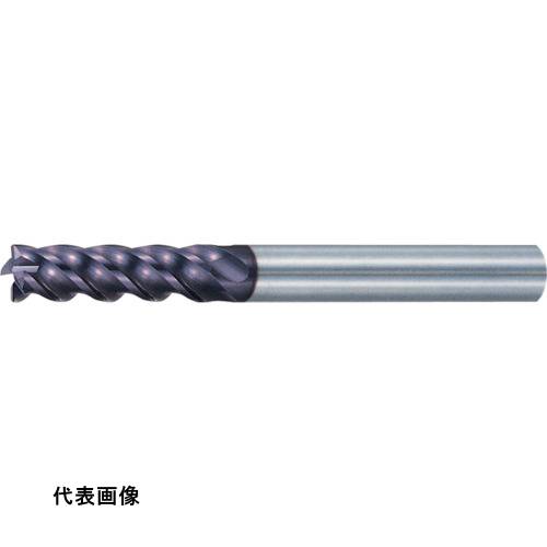 皆既月食を見よう