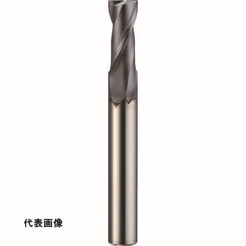 皆既月食を見よう