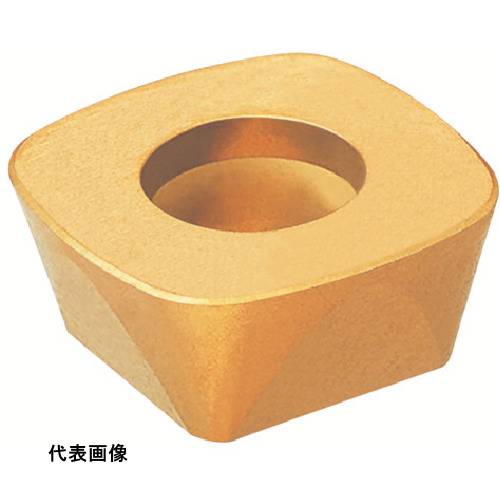皆既月食を見よう 花・ガーデン・DIY-手動工具-その他