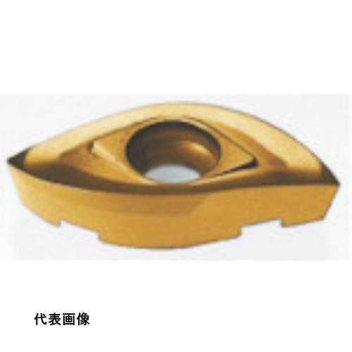 皆既月食を見よう
