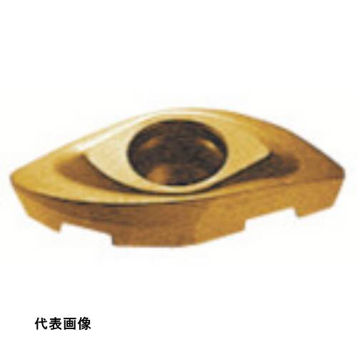 皆既月食を見よう