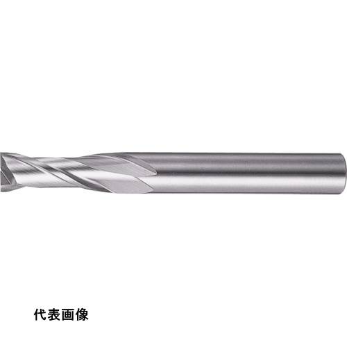 皆既月食を見よう 切削・研削工具用アクセサリー-花・ガーデン・DIY